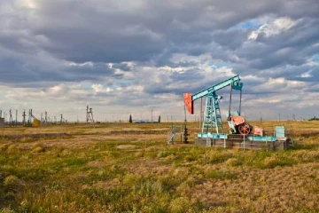 17 கோடி ஏக்கர் நிலத்திற்கு உரிமையாளரான இந்தியர்... அதன் மொத்த மதிப்பு