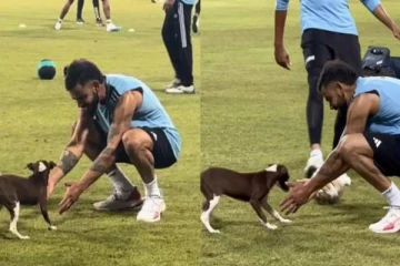 பயிற்சியின் போது நாய்குட்டியுடன் கொஞ்சி விளையாடிய விராட் கோலி..வைரலாகும் வீடியோ