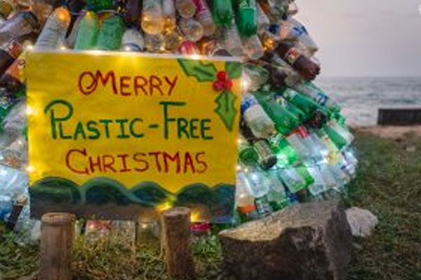 பிளாஸ்டிக் போத்தல்களை கொண்டு கிறிஸ்மஸ் மரம் | Christmas Tree With Plastic Bottles