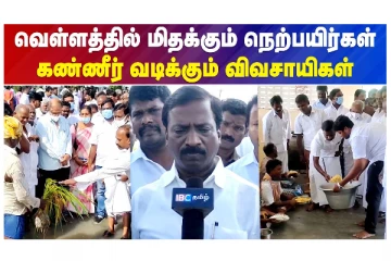 வெள்ளத்தில் மிதக்கும் நெற்பயிர்கள் - கண்ணீர் வடிக்கும் விவசாயிகள்