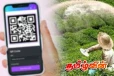 மானிய விலையில் தேயிலை உரம்: அறிமுகமாகும் புதிய QR குறியீடு முறை