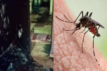 கொசு விரட்டும் மருந்தால் ஒரே குடும்பத்தை சேர்ந்த 4 பேர் மரணம்! அதிர்ச்சி சம்பவம்