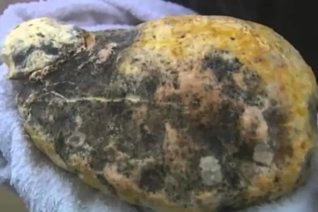 பெறுமதியான திமிங்கல வாந்தி வைத்திருந்தவர் கைது