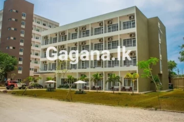 නව නිවසක් සෑදීමේදී මරු නොවෙයි හිරු සිටින දිශාව බලන්න..