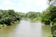 පෝද්දල කැළඹූ වක්වැල්ල පාලම අසල ඛේදවාචකය- ගිං ගඟේ මළ සිරුරක්