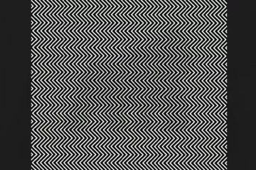 Optical illusion: இந்த படத்தில் மறைந்துள்ள மிருகம் என்னவென்று கண்டுபிடிக்க முடியுமா?