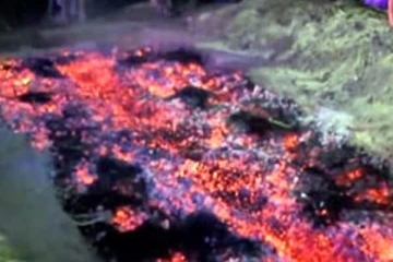 கொழும்பில் தீ மிதிக்க சென்ற இளம் தாய்க்கு ஏற்பட்ட பரிதாப நிலை