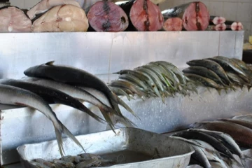 මාළු මිලෙහි සිදු වූ හදිසි වෙනස.. (VIDEO)