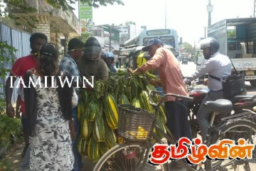 வெயில் காலத்தில் மக்களின் விருப்பமாக மாறியுள்ள பழம்! அதிகரிக்கும் விற்பனை