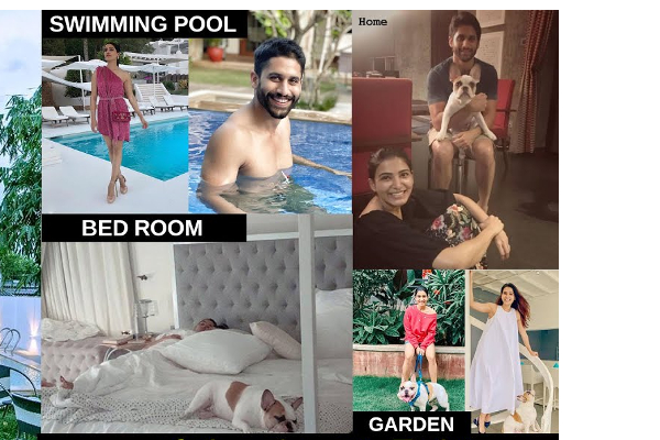 விவாகரத்துக்கு பின் இப்படியொரு முடிவு.. முன்னாள் கணவரை பழிவாங்க சமந்தா போட்ட பிளான் | Samantha Buy Same House Again High After Divorce