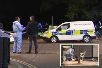 லண்டன் பூங்காவில் பயங்கர துப்பாக்கிச் சூடு: சம்பவ இடத்தில் பொலிஸார் கண்ட அதிர்ச்சி