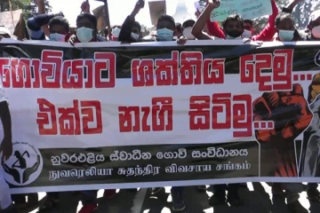 நுவரெலியாவில் போராட்டத்தில் ஈடுப்பட்ட விவசாயிகள் (Video)