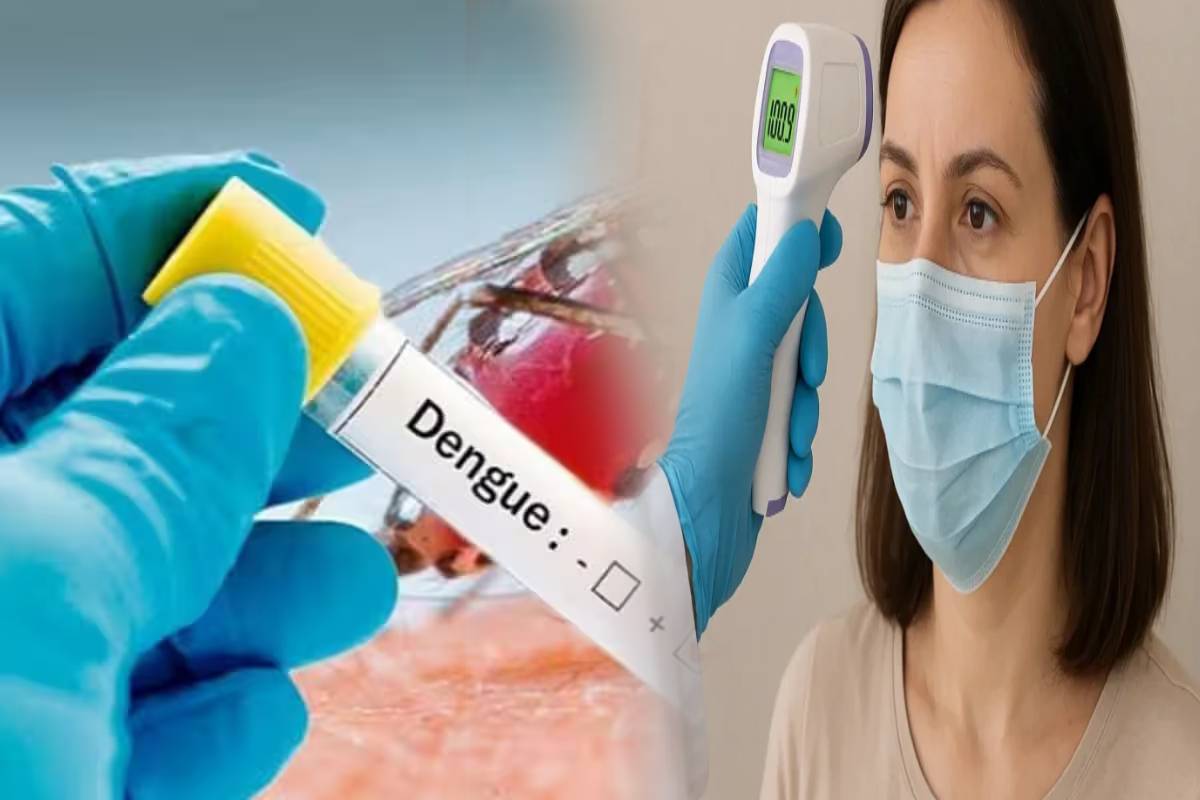 இரண்டு நாட்களுக்கு மேல் காய்ச்சல் நீடித்தால் அவதானம் - இலங்கை மக்களுக்கு அவசர எச்சரிக்கை | Dengue Risk In Sri Lanka People Warrning