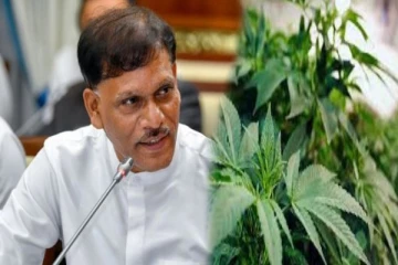 மருந்துக்காக மட்டுமே கஞ்சா பயிரிட அனுமதி-புகைப்பதற்கு அனுமதியில்லை-சிசிர ஜயகொடி