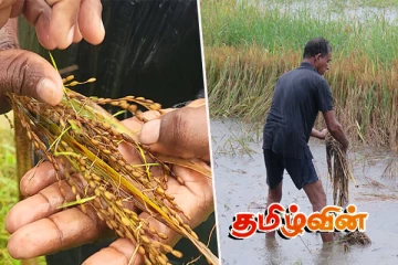 மனித உரிமை ஆணைக்குழுவில் முறையிட்டவர்களிடம் நட்டஈடு கோரும் விவசாயிகள்