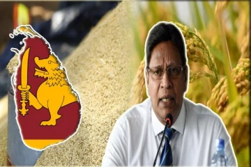 நெல் கொள்வனவு குறித்து விவசாயத்துறை இராஜாங்க அமைச்சர் வெளியிட்ட தகவல்