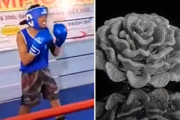 ஒரே மோதிரத்தில் 24,679 வைரங்கள்! குத்துச்சண்டை போட்டியில் பறிபோன உயிர்! இந்திய செய்திகள்