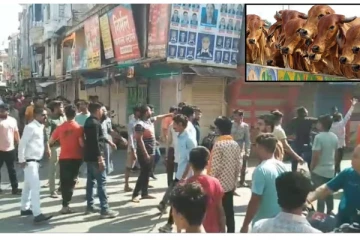 கோயிலுக்குள் பசுவின் துண்டிக்கப்பட்ட தலை வீச்சு - அதிர்ச்சி சம்பவம்!