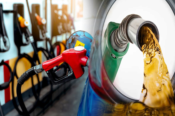 எரிபொருள் விலை திருத்தம்: பொருளாதார வல்லுநர்கள் வெளியிட்ட தகவல் | Srilanka Fuel Price In Increase எரிபொருள் விலை திருத்தம்: பொருளாதார வல்லுநர்கள் வெளியிட்ட தகவல் | Srilanka Fuel Price In Increase