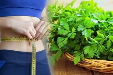 உடல் எடையை வேகமாக குறைக்க வேண்டுமா? இந்த 5 இலைகளை மறக்காமல் எடுத்து கொண்டாலே போதுமாம்