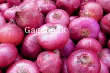 ලොකු ළුෑණු ලොකුවටම ගණන් උස්සන පාටක්...