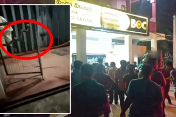 வங்கிக்கு வந்த அழையா விருந்தாளியால் பரபரப்பு; அஞ்சி ஓடிய ஊழியர்கள்!