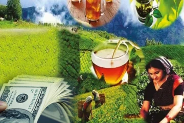 சர்வதேச சந்தையில் தரம் உயர்ந்துள்ள இலங்கைத் தேயிலை