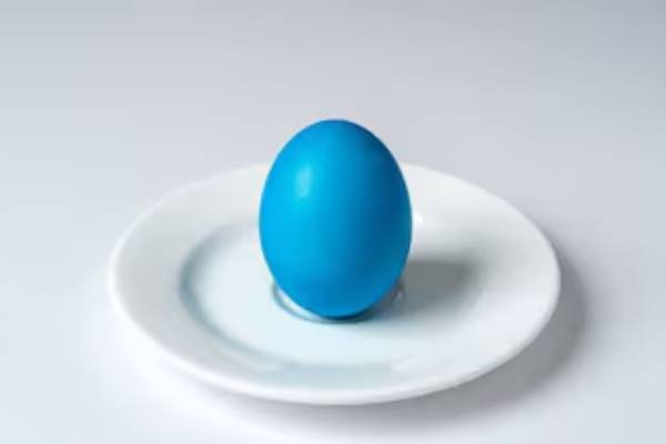 blue egg