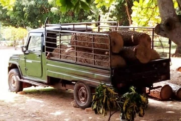 மரக்கடத்தல் வாகனத்தின் மீது துப்பாக்கி சூடு! விஷேட அதிரடிப்படை அதிகாரி ஒருவர் படுகாயம்