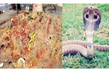 கொட்டித் தீர்த்த மழையில் குளிர்ந்த பாம்பு புற்று! அடுத்து நடந்த ஆச்சரியம்…