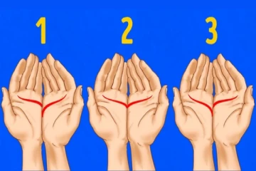 இந்த இதய ரேகை வைத்து உங்கள் ஆளுமையை கூறலாம்-இதில் உங்கள் ரேகை எப்படி?