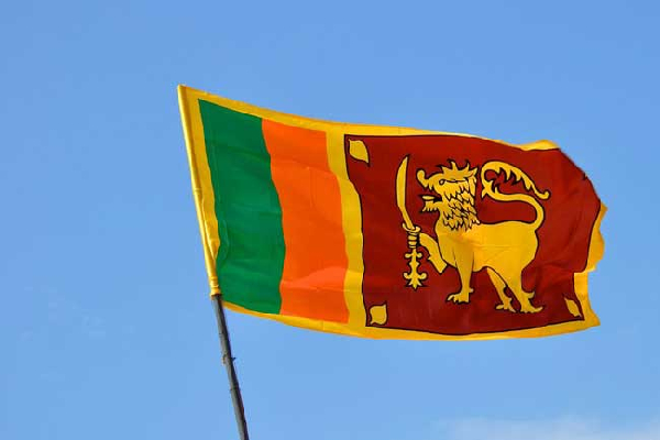 நாளொன்றுக்கு இலங்கையர் எடுக்கும் விபரீத முடிவு : பறிபோகும் உயிர்கள் | 8 Suicides Reported Daily In Sri Lanka