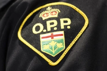 ரொறன்றோவில் 90 வயது பாட்டியை கொன்றதாக 34 வயதான பேரன் மீது குற்றச்சாட்டு