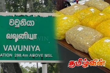 வவுனியாவில் கஞ்சாவுடன் இருவர் கைது!
