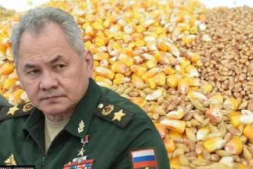 உக்ரைன் தானியங்களை விடுவிக்க தயார்... ரஷ்யா முன்வைக்கும் ஒற்றை நிபந்தனை