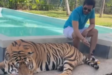 புலி வாலை பிடித்த சந்தானம்: நெட்டிசன்கள் கடும் விமர்சனம்