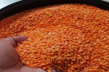 பாவனைக்குதவாத பருப்பை கழுவி விற்பனை; இருவர் கைது!