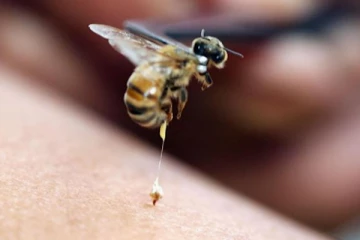 அறுபது மாணவர்கள் வைத்தியசாலையில்