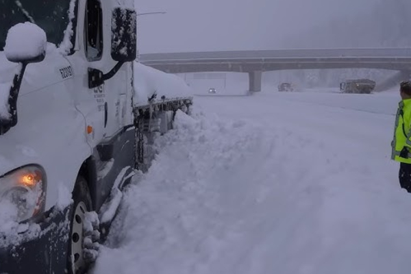 கனடாவின் இந்தப் பகுதிகளில் உறைபனி தொடர்பில் எச்சரிக்கை | Environment Canada Issues Frost Advisories