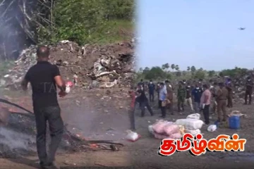 யாழில் கைப்பற்றப்பட்ட பெருமளவு கஞ்சா அழிக்கும் நடவடிக்கை முன்னெடுப்பு!