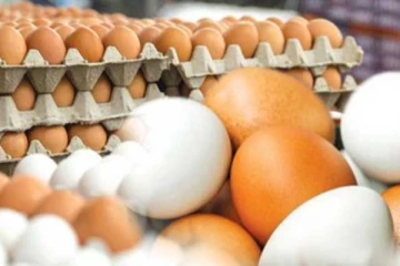 බිත්තර ආනයනය ගැන වෙළඳ ඇමති කියන දේ..