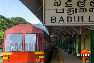 පාසල් නිවාඩුවට කරන්න යන අලුත් දේ මෙන්න