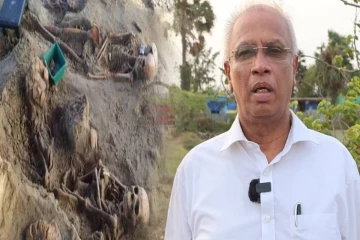 செம்மணி அகழ்வில் மீட்கப்படும் என்புத் தொகுதிகள்- சோதனை கூடங்களுக்கு அனுப்புமாறு சுமந்திரன் வலியுறுத்தல்