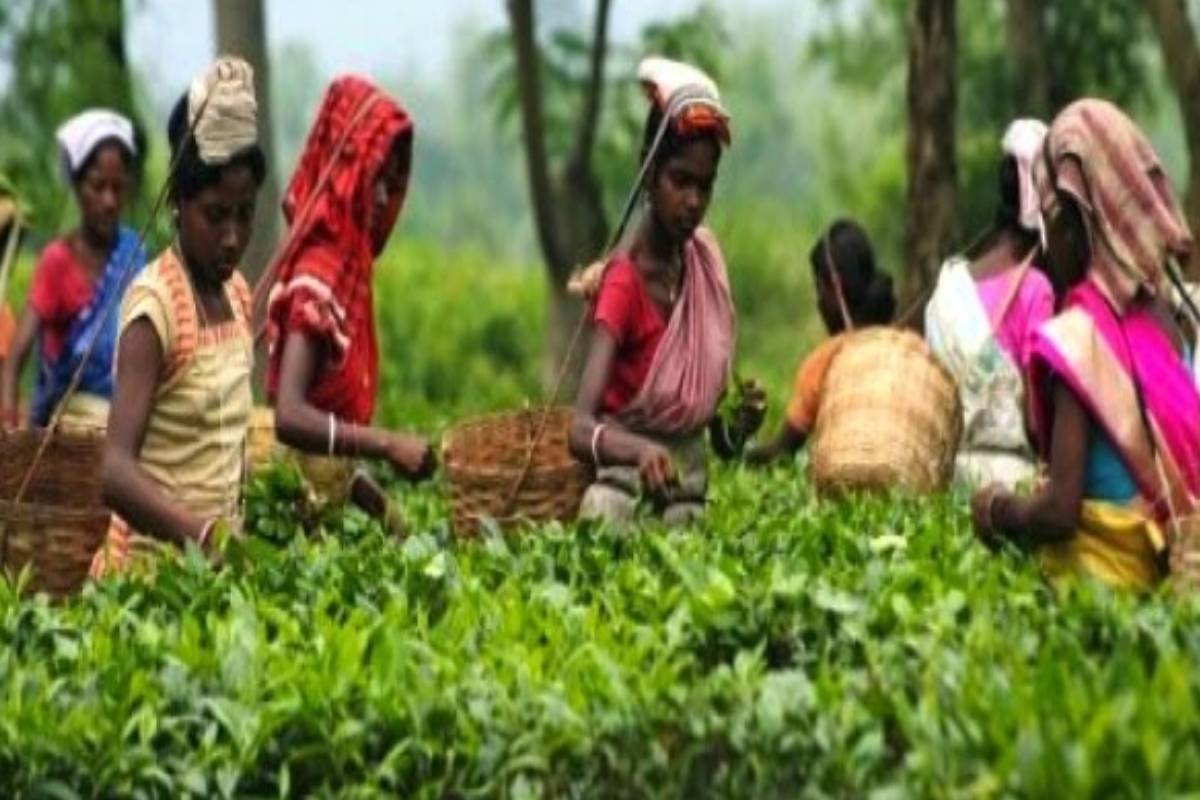 76 வருடங்களாக மலையக மக்களை அடிமைப்படுத்தும் தலைமைத்துவம் - அரச தரப்பு கேள்விகளுக்கு ஜீவன் தொண்டமான் பதிலடி | Hill Country Undeveloped For 76 Years