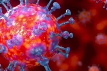 දිගුකාලීන කොරෝනා තත්ත්වයක් සම්බන්ධයෙන් අනතුරු ඇඟවීමක්..