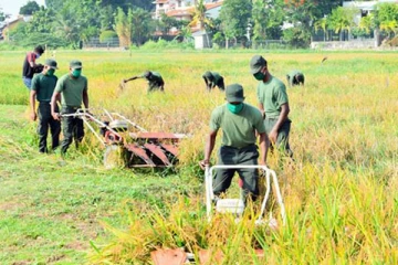 கோட்டாபய அதிரடி; வயல்களில் களமிறக்கப்படவுள்ள இராணுவத்தினர்!