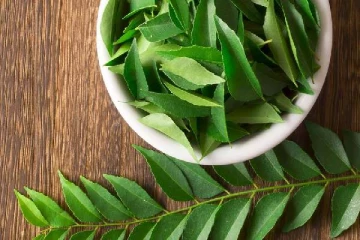 இதை படித்த பின்னர் மறந்தும் கூட கறிவேப்பிலையை தூக்கிப் போட மாட்டீங்க!!!