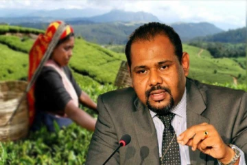 மலையக மக்களின் பிரஜாவுரிமைக்கு எதிரான வாக்களிப்பு: தெளிவுப்படுத்திய கஜேந்திரகுமார் பொன்னம்பலம்