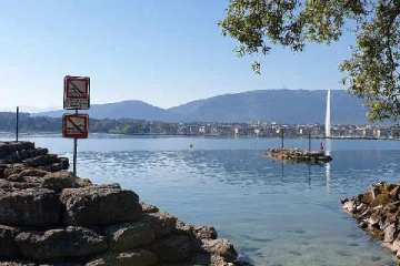 பணக்கார நாடுகளிலும் இந்த பிரச்சினைதான்... சுவிஸ் ஏரியில் மனிதக்கழிவுகள்