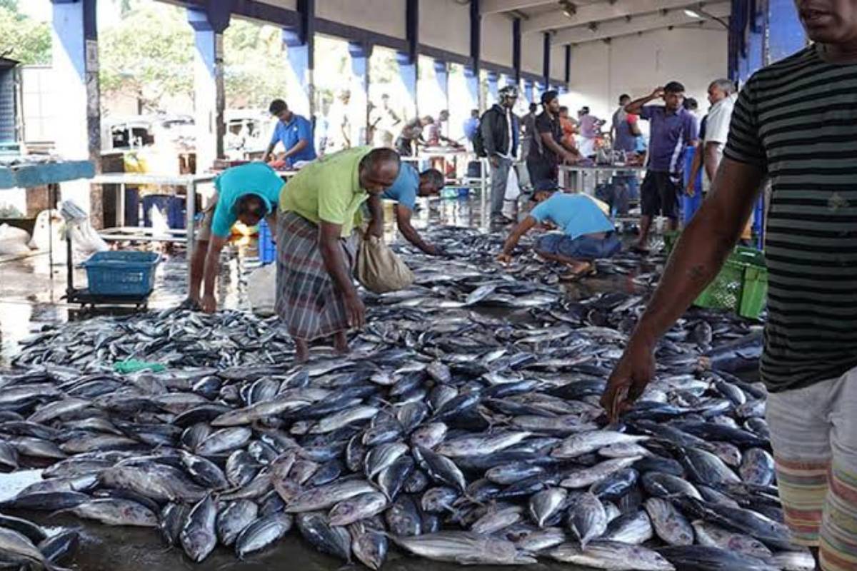 முன்னாள் அமைச்சர் ராஜிதவின் சகோதரர் மஹில் சேனாரத்ன அதிரடி கைது! | Rajithas Brother Maheel Senaratne Arrested Ciaboc முன்னாள் அமைச்சர் ராஜிதவின் சகோதரர் மஹில் சேனாரத்ன அதிரடி கைது! | Rajithas Brother Maheel Senaratne Arrested Ciaboc